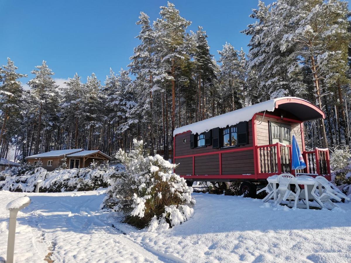 Les Chalets Du Haut-Forez Usson-en-Forez Экстерьер фото