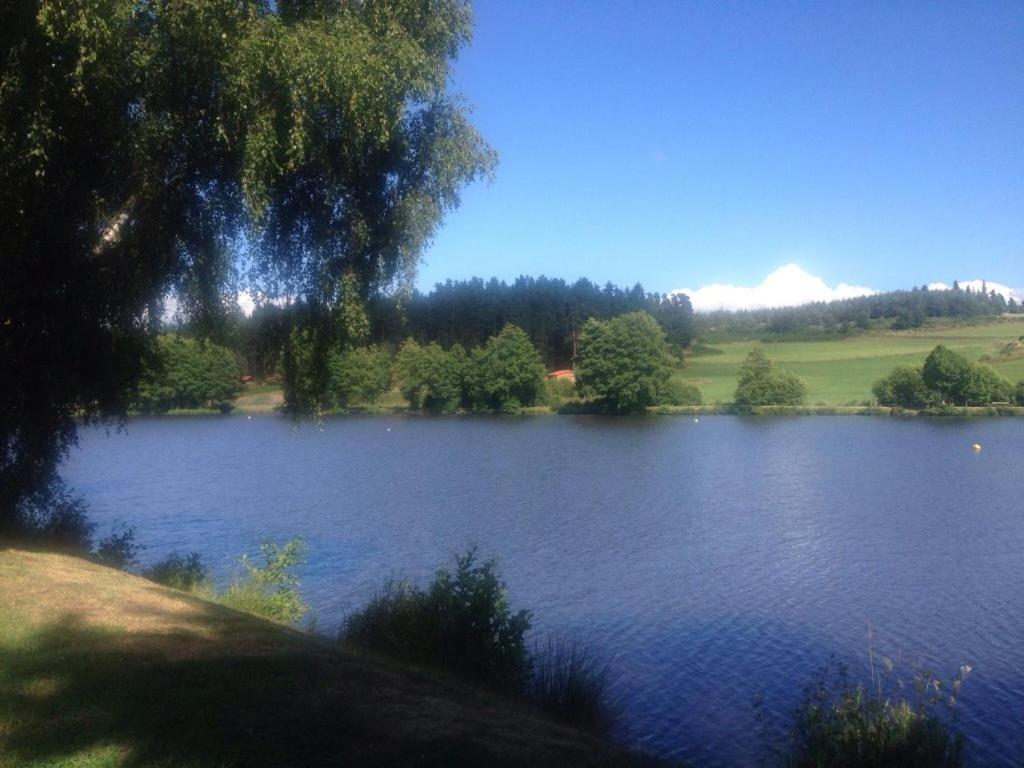 Les Chalets Du Haut-Forez Usson-en-Forez Экстерьер фото