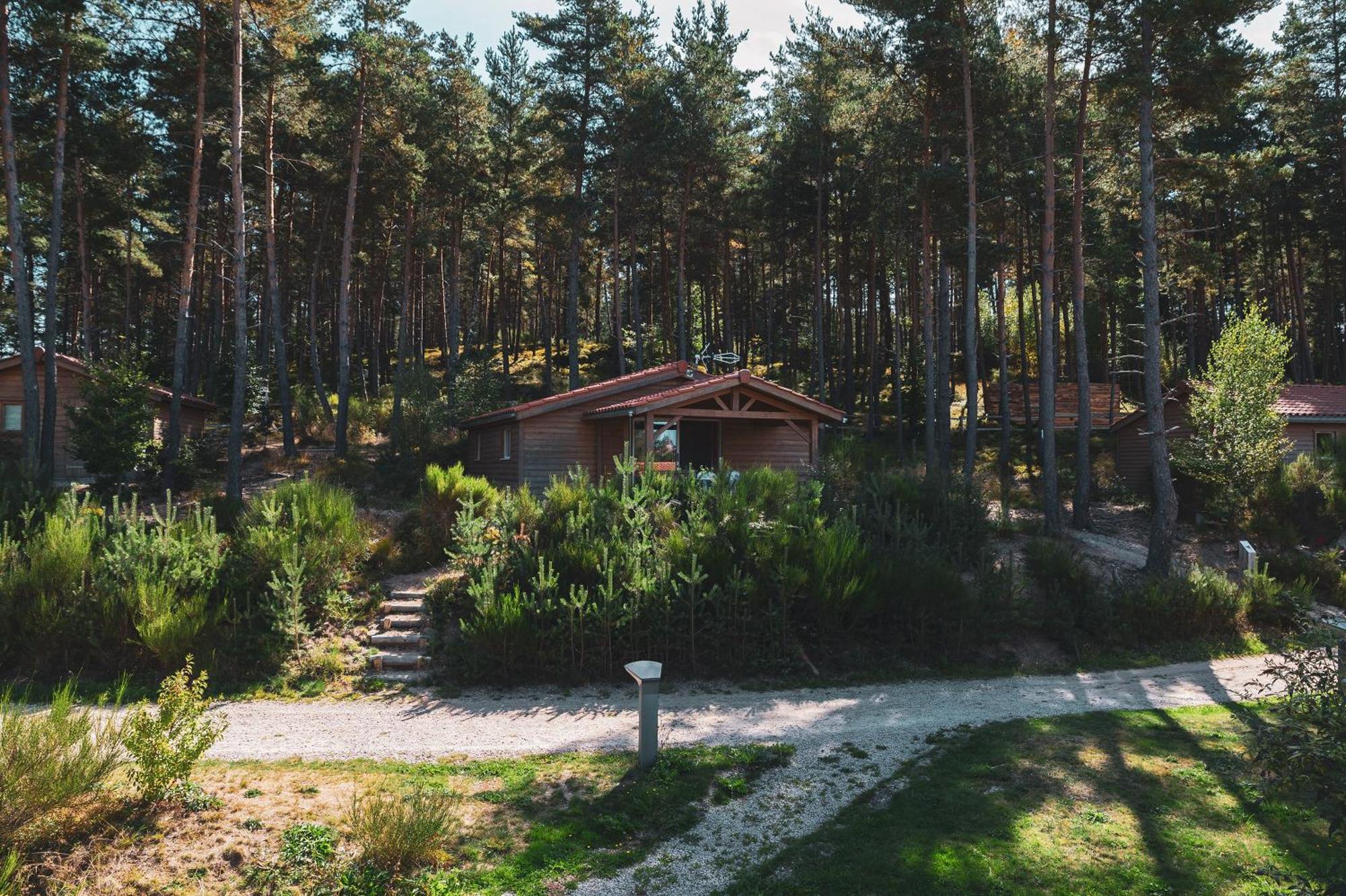 Les Chalets Du Haut-Forez Usson-en-Forez Экстерьер фото