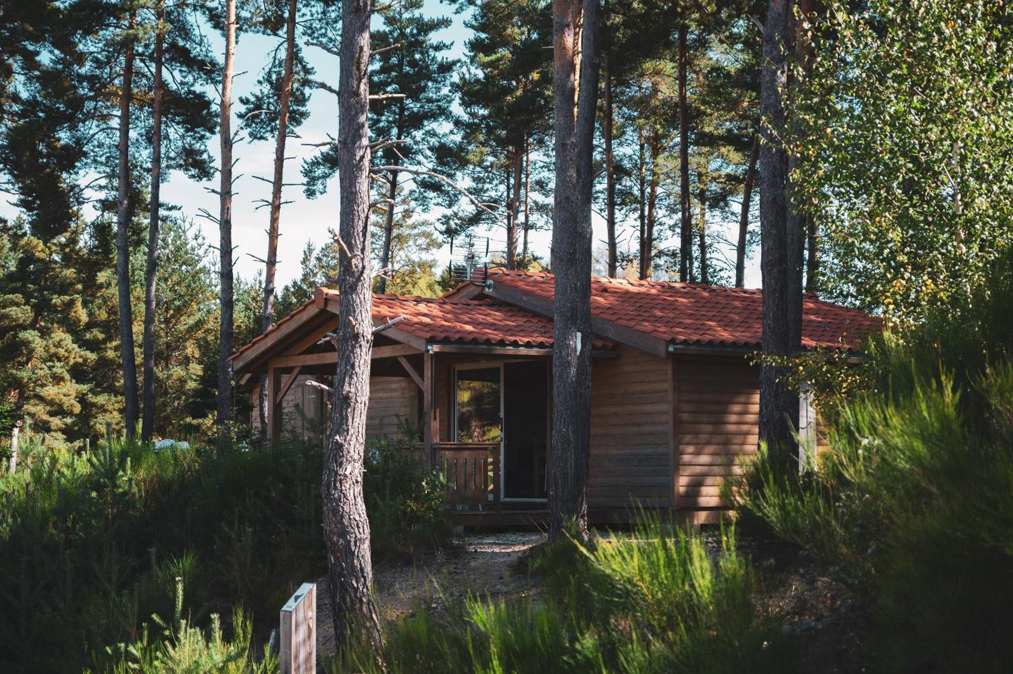 Les Chalets Du Haut-Forez Usson-en-Forez Экстерьер фото