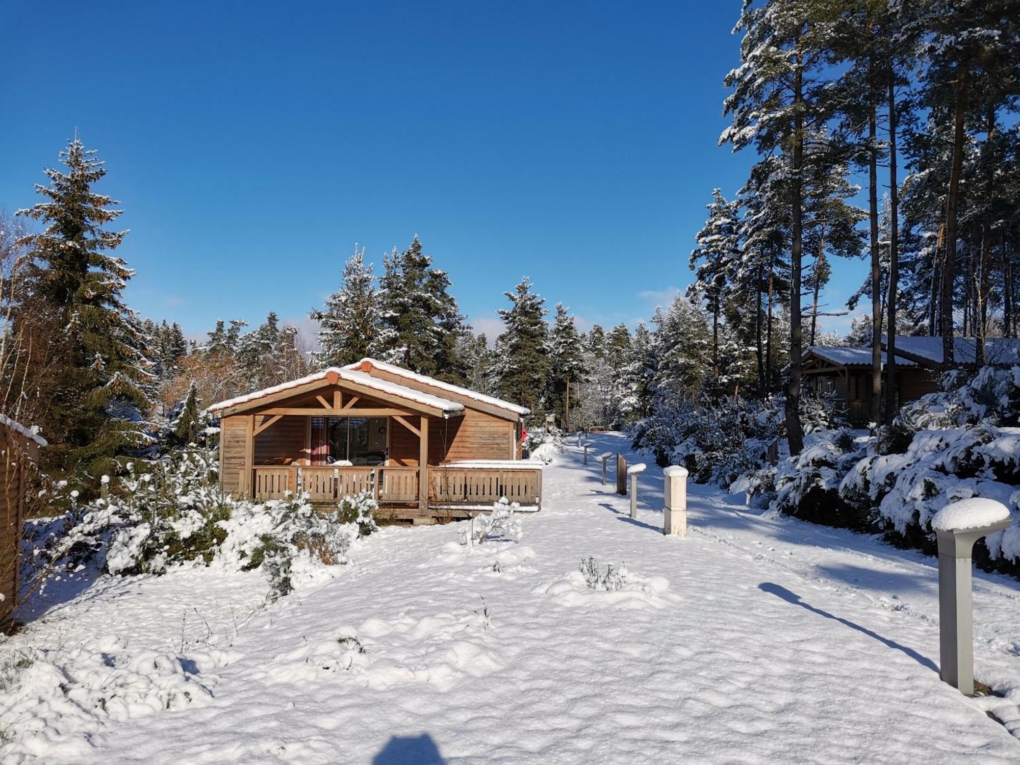 Les Chalets Du Haut-Forez Usson-en-Forez Номер фото